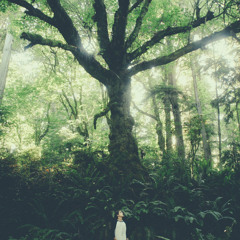 A.M. Architect - Dec. 15th