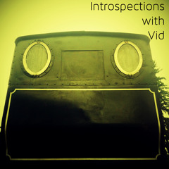 Introspections with Vid