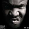 Gorilla Zoe - Hood Nigga (Jason Rich Remix) artwork