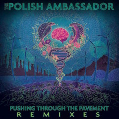 The Polish Ambassador - Sri Gurvastakam ft. Kirtaniyas (DAD Remix)