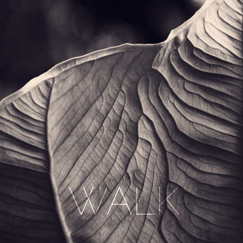 Walk (free dl in description)