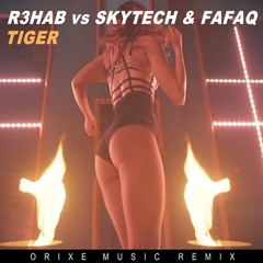 R3hab Vs SKYTECH & FAFAQ - Tiger (Orixe Music Remix)