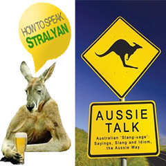 Aybonics (slanguage)