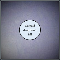 Orchaid - "Drop Don't Fall" (pop edit)