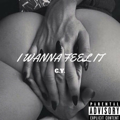 I Wanna Feel It(That Pussy)