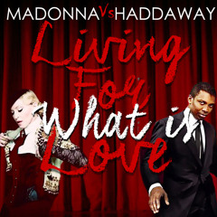 Madonna Vs Haddaway - Living For (What Is) Love [Robin Skouteris Mix]