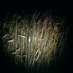 witchhouse