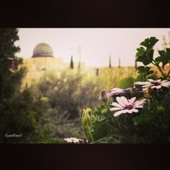 عَلَىٰ الدَّرْبِ نَبْقَىٰ، وَنَزْدَادُ عِشْقًا