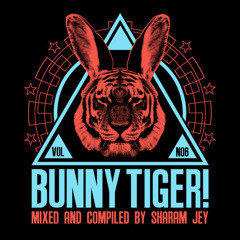 Night Run - Bunny Tiger (Preview) // OUT NOW