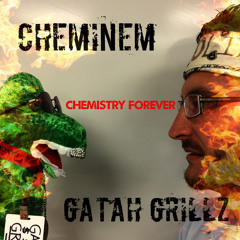 Cheminem- Chemistry Forever