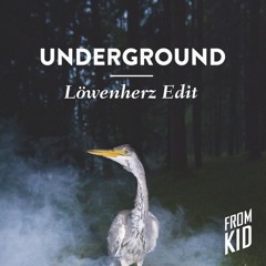 FROM KID - Underground (Löwenherz Edit)