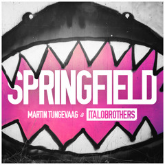 Martin Tungevaag & ItaloBrothers - Springfield (Video Edit)