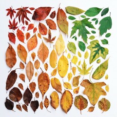 PDV #122 - La Playlist Du Vendredi (RAW Edition #2)