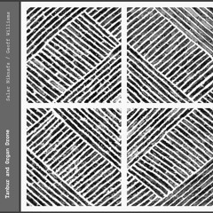 Tanbur And Organ Drone
