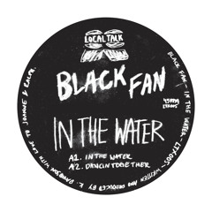 Black Fan - In The Water (12'' - LTX005, Side A1)