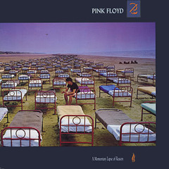 Pink Floyd A momentary lapse of reason LP(side 1)