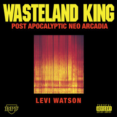 WASTELAND KING