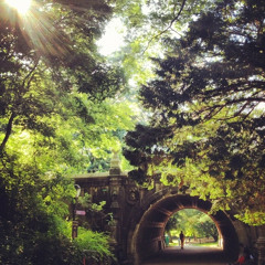 Picnic in Prospect Park