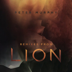 Peter Murphy - Prayer Of Jonas In The Belly Of The Whale (White Star Hawk Spirit Dance)