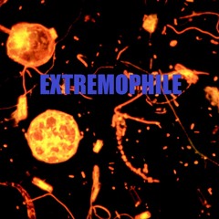 Extremophile