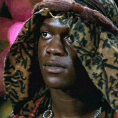 The Warriors
