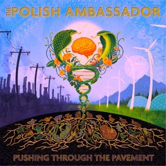 The Polish Ambassador - Sri Gurvastakam Feat. Kirtaniyas (Anchor Hill Remix)