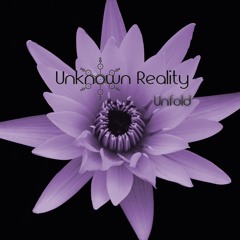 Unknown Reality - Unfold