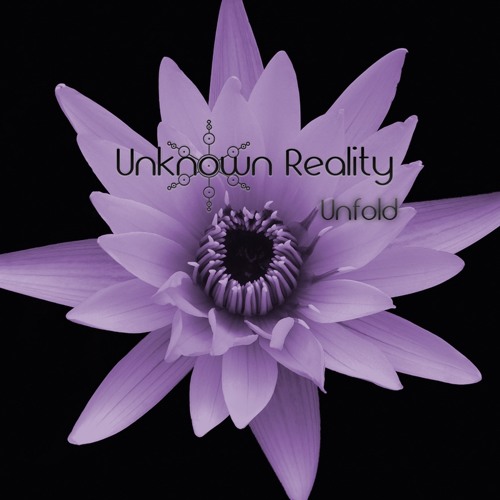 Unknown Reality - Unfold