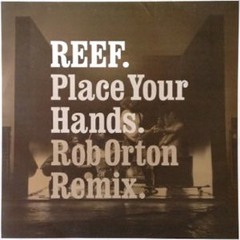 Reef "place your hands" (Rob Orton Re Mix)