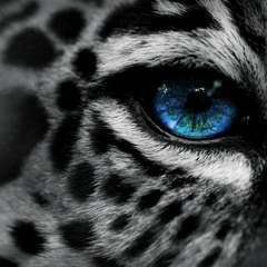 Dread The Light With Thousand Eyes