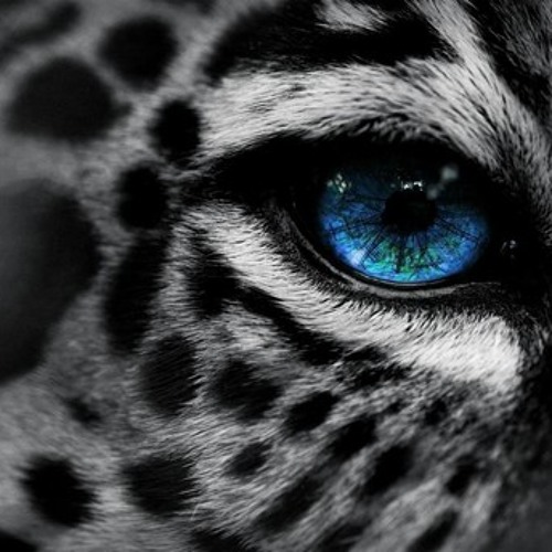 Dread The Light With Thousand Eyes