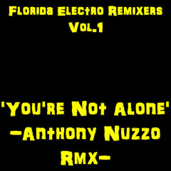 Florida Electro Remixers vol.1 - You're Not Alone (Anthony Nuzzo Remix) CLIP