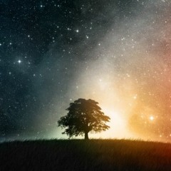Chill Out (Orginal)