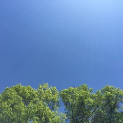 Summer Daze: Week 1