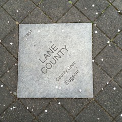 Cathy Barr - If She Can Do It, We Can Do It