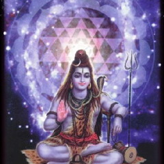 Shiva Shambo