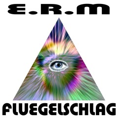 E.R.M - The Poly