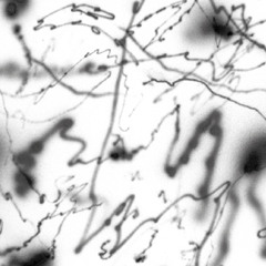 P!?022 - Gábor Lázár "ILS" CD + Digital /// preview ///