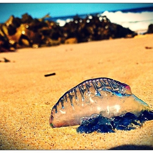 Julian Morris - Hot Lips (Original Mix)