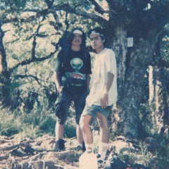 SLANK