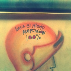 Pasajero fugaz y pasajero