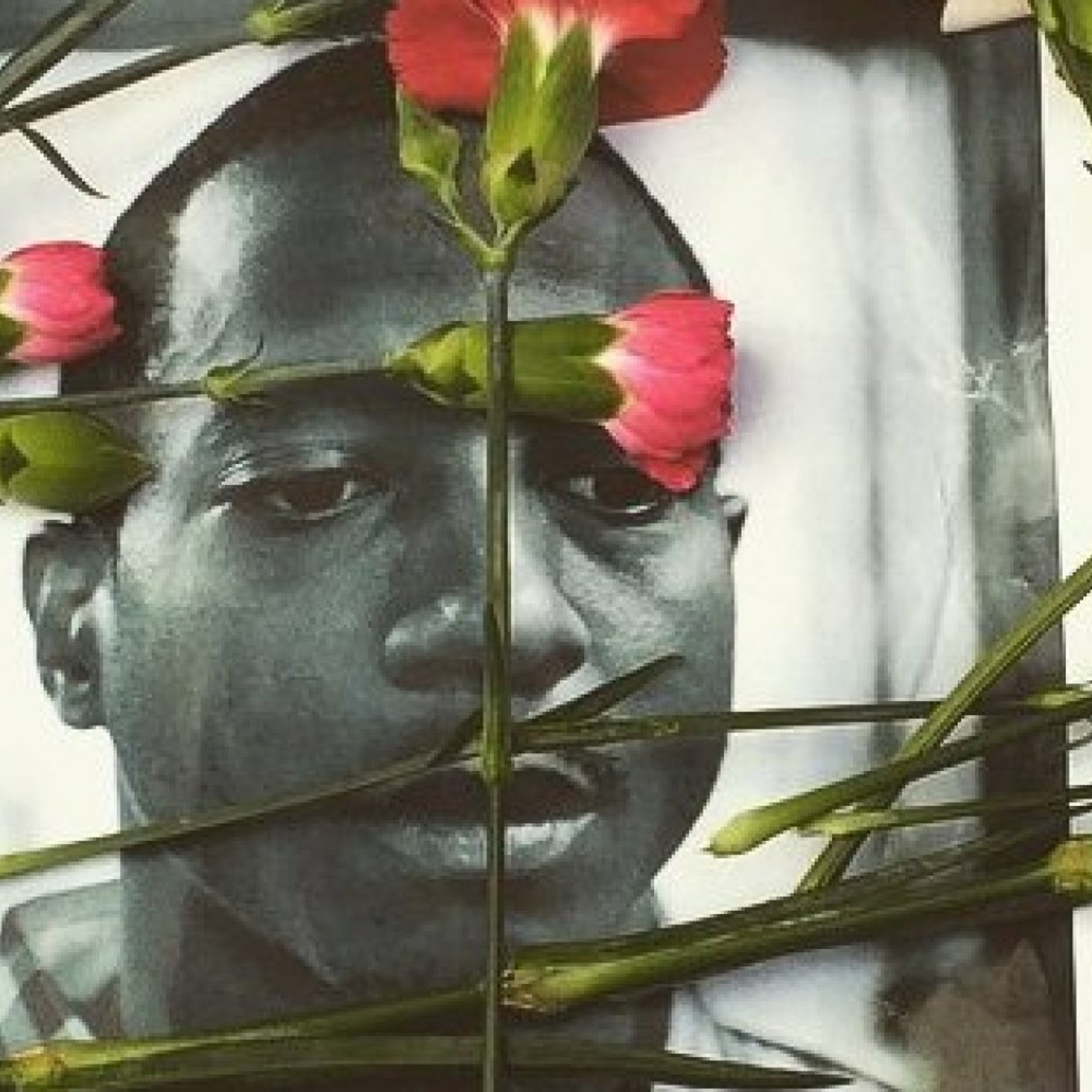 Kalief Browder, Albert Woodfox y la tortura del confinamiento solitario episode artwork