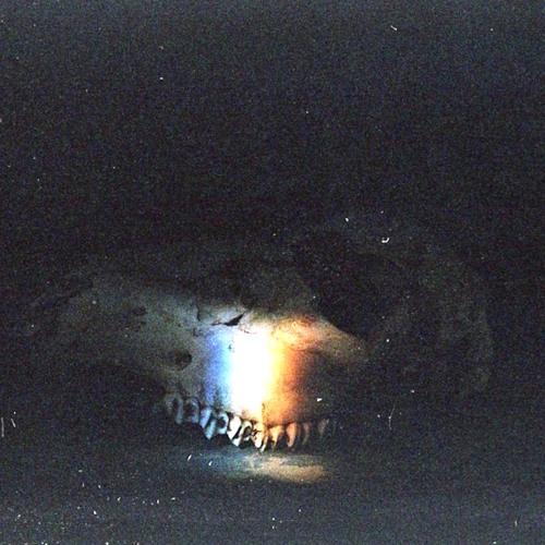 Static Sea