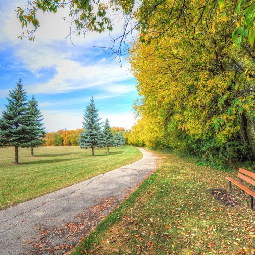 Looking for a Good Life? By Abu ‘Abdis Salaam Siddiq Al Juyaanee