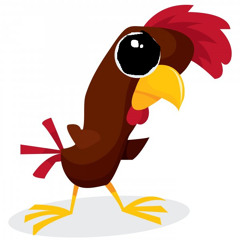 Der Hahn auf XTC - Schweinegallen im Hühnerstall