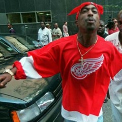 Slimmy ~ Energy FreeStyle