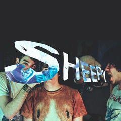 Sheepy - Wild