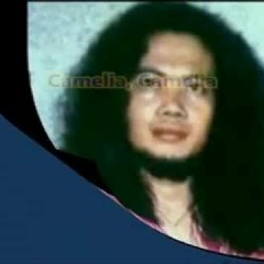 RHOMA IRAMA - CAMELIA 2