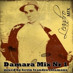 Damara Punch Mix Nr 1 mixed by leandro solomons