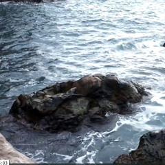 From promo-video clip Dubstern 2015